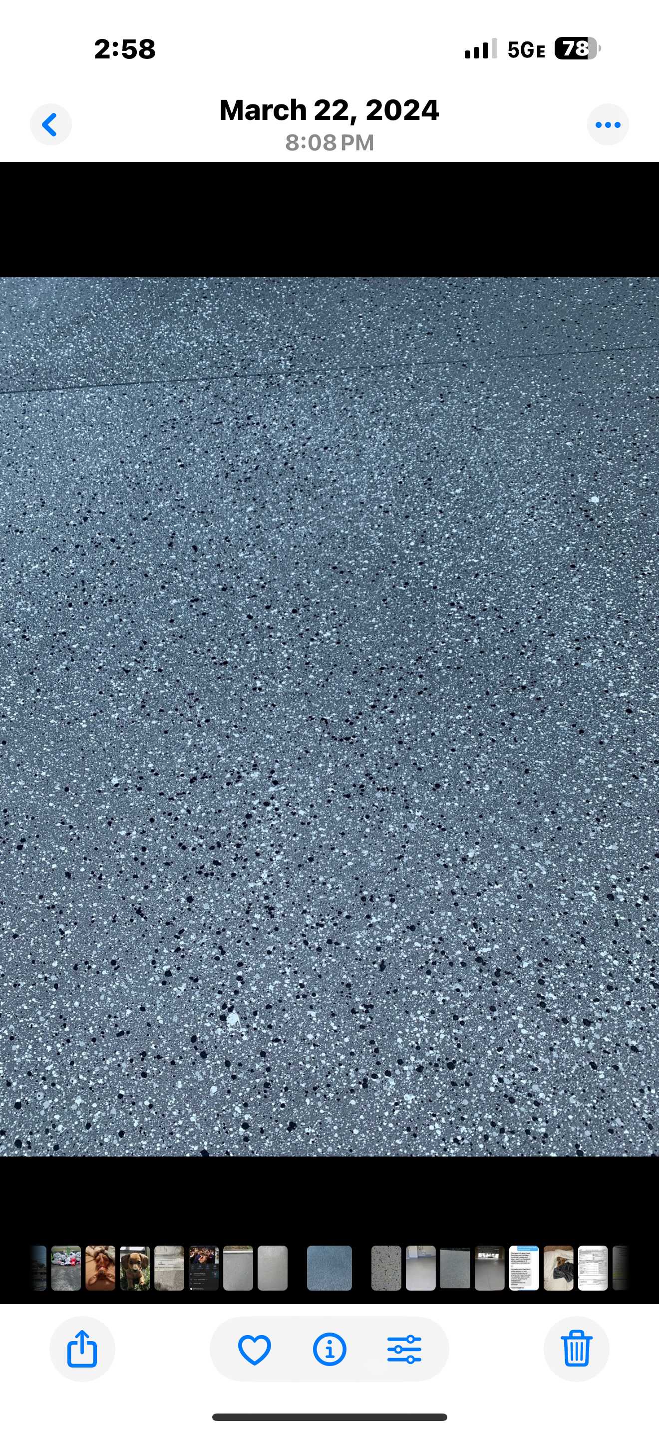 Epoxy Floor with Fleck Detail